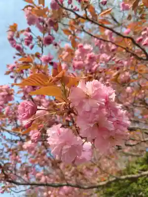 厚別神社(北海道)