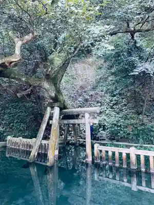 鹿島神宮(茨城県)