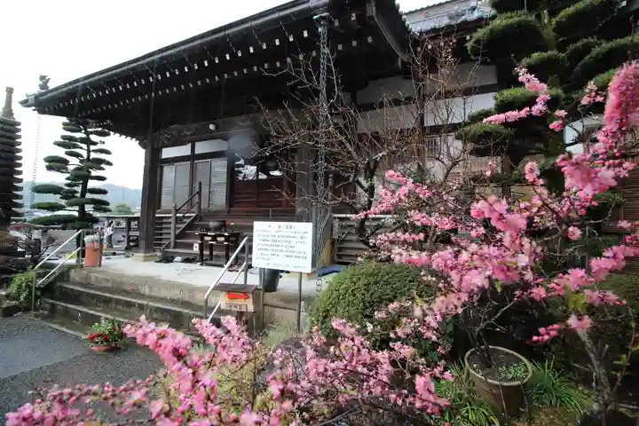 眞珠院の本殿・本堂