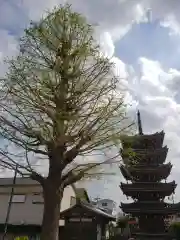 光徳院の建物その他