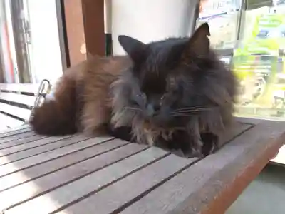 御誕生寺（猫寺）(福井県)