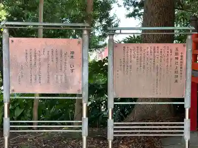 玉前神社(千葉県)