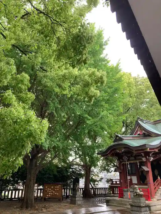 小金八坂神社(千葉県)