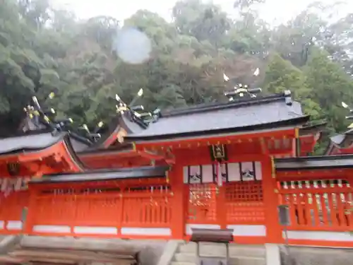 熊野那智大社の本殿・本堂