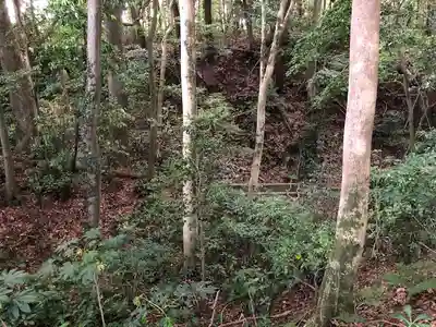 小山不動の自然