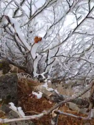 山家神社奥宮東宮の自然