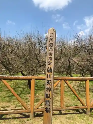 菅原神社(鹿児島県)