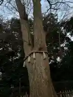 長宮氷川神社(埼玉県)