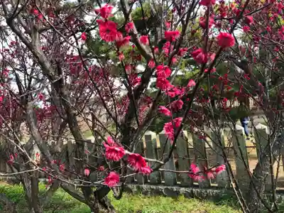 曽根天満宮(兵庫県)