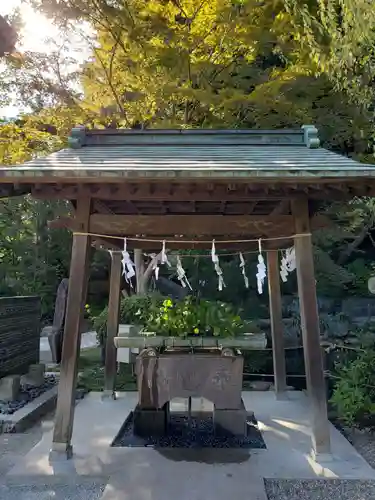 貫井神社の手水