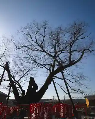秩父今宮神社(埼玉県)