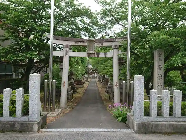 白髭神社の鳥居