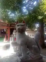 桜森稲荷神社の狛犬