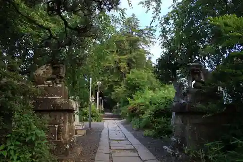 豊景神社の狛犬