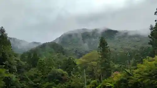 大矢田神社(岐阜県)