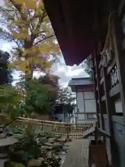 師岡熊野神社(神奈川県)