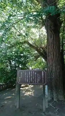 郡浦神社の庭園