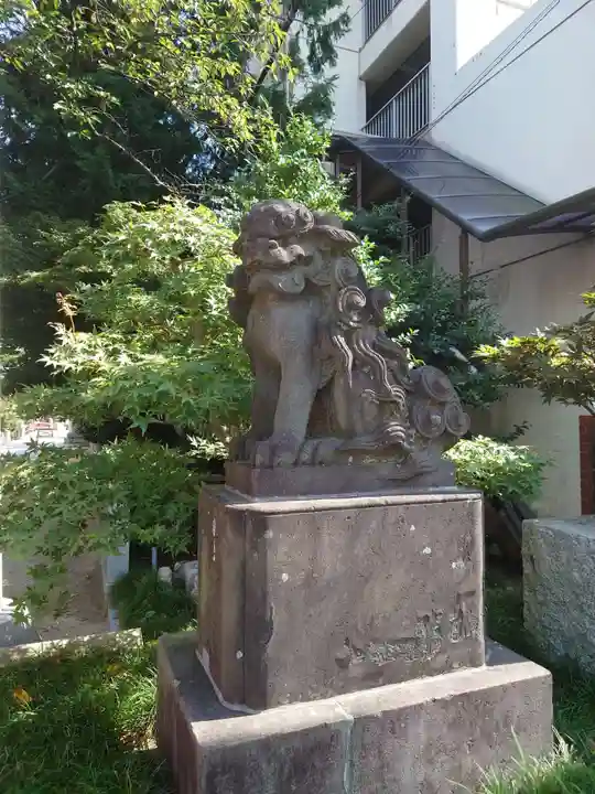 松戸神社の狛犬