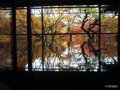 光明寺瑠璃光院(京都府)