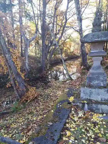 樺山神社の自然