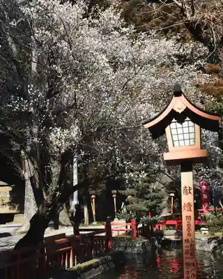 間々田八幡宮(栃木県)