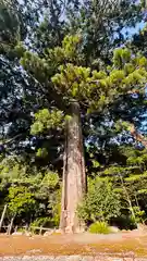 大瀧神社(滋賀県)