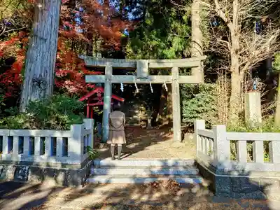 仁杉神社の鳥居