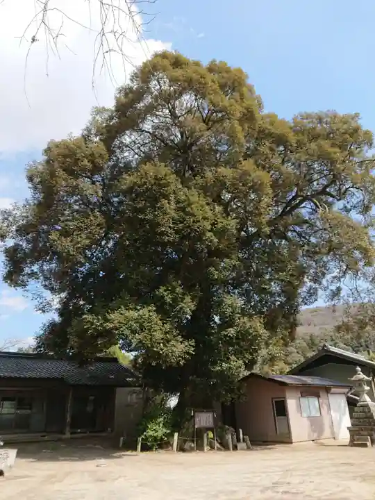 白髭神社の自然