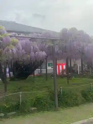 竹鼻別院(岐阜県)