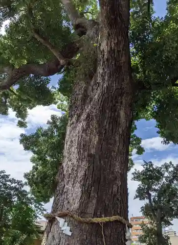 菅原天満宮のその他建物