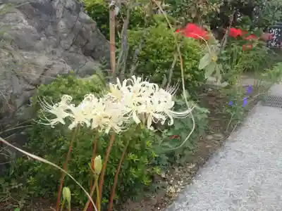 元三島神社(東京都)