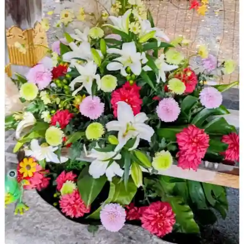 彌彦神社　(伊夜日子神社)(北海道)