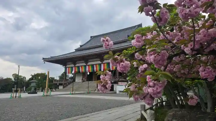 西新井大師総持寺の{uncategorized: "未分類", other: "その他", undefined: "問題あり", building: "その他建物", grave: "お墓", sacred_gate: "鳥居", guardian: "狛犬", statue: "像", buddha: "仏像", history: "歴史", nature: "自然", garden: "庭園", animal: "動物", pagoda: "塔", temizu: "手水舎", mountain_gate: "山門・神門", sanctuary: "本殿・本堂", subordinate: "末社・摂社", art: "芸術", scenery: "景色", jizo: "地蔵", ema: "絵馬", goshuin: "御朱印", omikuji: "おみくじ", items: "授与品その他", amulet: "お守り", goshuincho: "御朱印帳", eats: "食事", festival: "お祭り", votive_dance: "神楽", shichigosan: "七五三参", wedding: "結婚式", experience: "体験その他", initially: "初詣", around: "周辺", anti_infection: "感染症対策"}