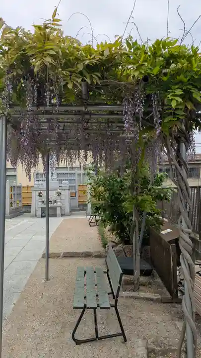 大松禅寺(京都府)