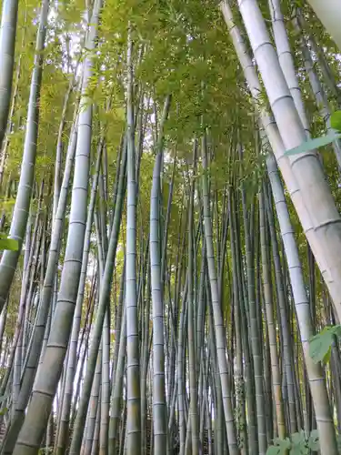 雲昌寺(秋田県)