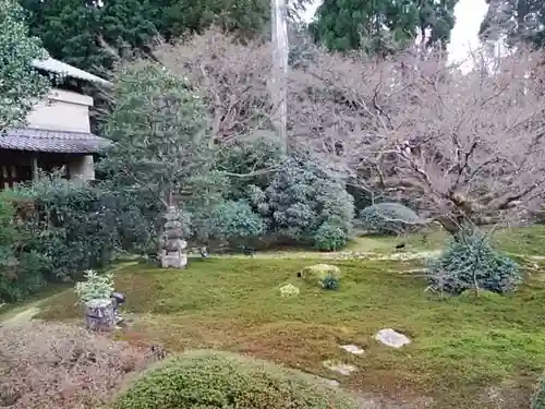 雲龍院の庭園