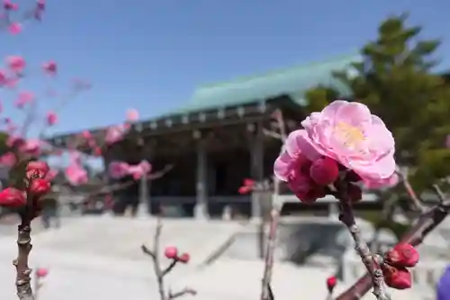 忉利天上寺の自然