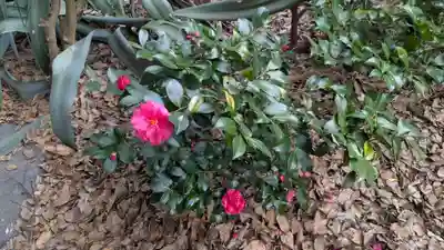 橋姫神社(京都府)