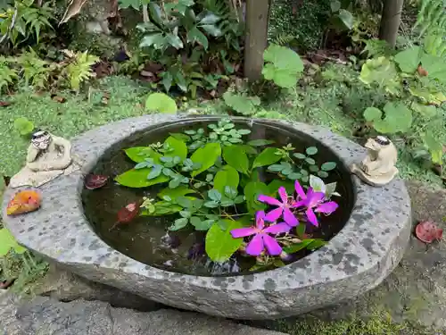 かっぱの寺 栖足寺の手水