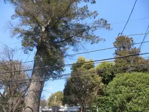 長津田王子神社(神奈川県)