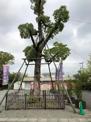 溝口神社の自然