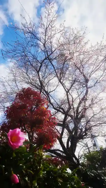 尾張猿田彦神社の自然