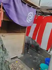 神田神社（神田明神）の動物