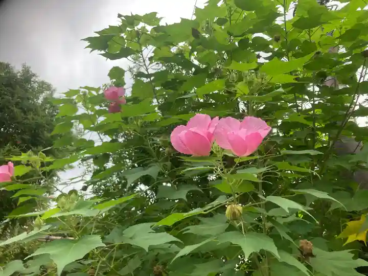 大巧寺(神奈川県)