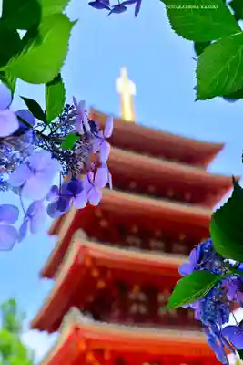 高幡不動尊　金剛寺(東京都)
