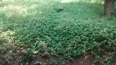 酒門神社の自然