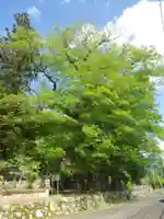 八幡宮(山口県)