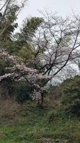 真光寺(福岡県)