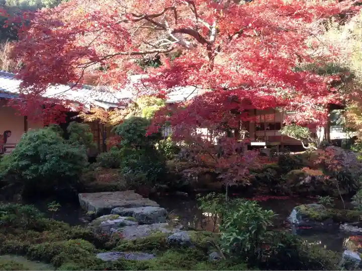 実相院門跡(京都府)