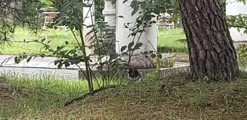 山梨縣護國神社のその他建物